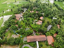 The Celebration Van Vilas Kanha