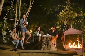 The Celebration Van Vilas Kanha