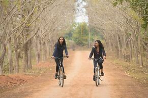 The Celebration Van Vilas Kanha