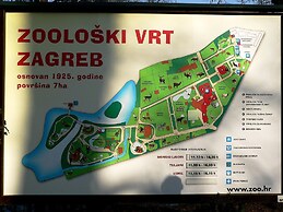 Oval Main Square Apartment