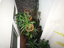Hotel Hojarascas