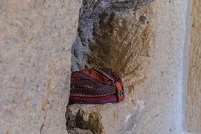 Cappadocia Ennar Cave Swimming Pool Hot & SPA