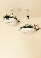 GOIN Old House & Bar