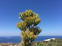 Dammusi Sciuvechi Resort