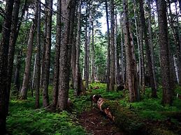 Carriage House Accommodations