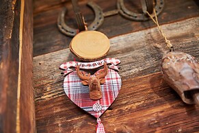 Das Alpenhaus Katschberg.1640