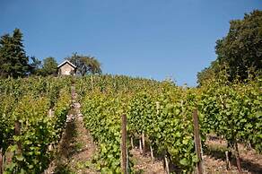 Weingut & Gästehaus Felshof