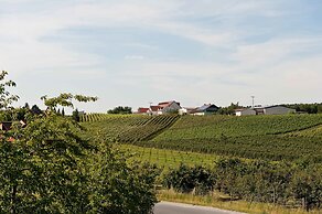 Weingut & Gästehaus Felshof