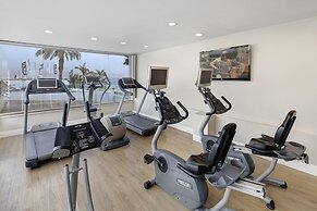 Herbert Samuel Milos Dead Sea