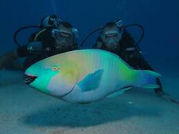 Wishwashi Camp & Resort