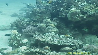 Wishwashi Camp & Resort