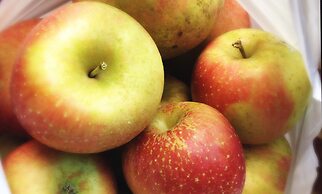 Graves Mountain Farm & Lodges