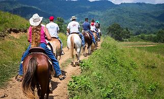 Graves Mountain Farm & Lodges