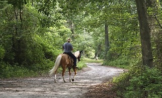 Graves Mountain Farm & Lodges