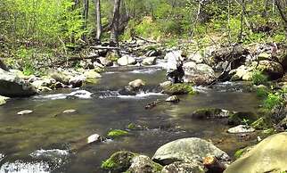 Graves Mountain Farm & Lodges