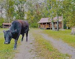 Graves Mountain Farm & Lodges
