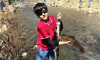 Graves Mountain Farm & Lodges