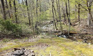Graves Mountain Farm & Lodges