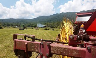 Graves Mountain Farm & Lodges
