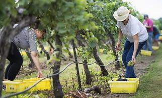 Graves Mountain Farm & Lodges