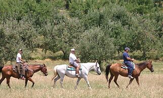 Graves Mountain Farm & Lodges