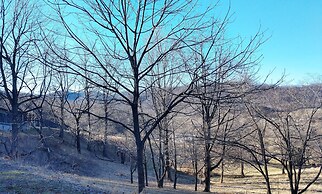 Graves Mountain Farm & Lodges