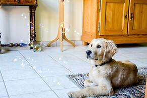 La Closerie Saint Martin