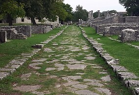 Flower Bed & Breakfast