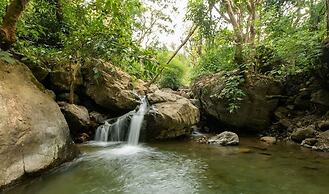 Bagheera River Retreat