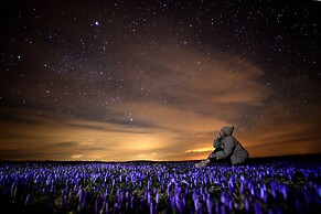 Koca Ojstrica - Velika planina