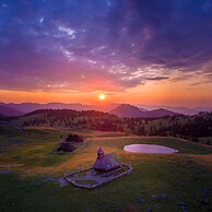 Koca Ojstrica - Velika planina