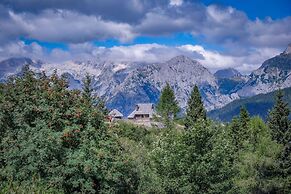 Koca Ojstrica - Velika planina