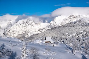 Koca Ojstrica - Velika planina