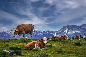 Koca Ojstrica - Velika planina