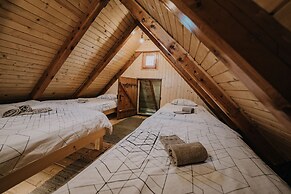 Koca Ojstrica - Velika planina