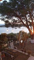 Teras Motel