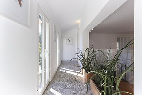 Estrela Premium by Homing