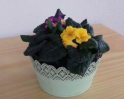 Hostel Criativo do Sabugueiro