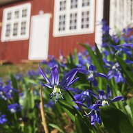 Mormors Bakeri  Bed & Breakfast