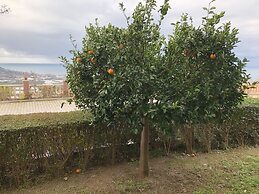 Gold City 3 bedroom Villa 2