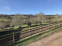 Welsh Marches at Upper Glyn Farm