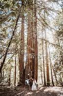 Redwoods River Resort