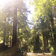 Redwoods River Resort