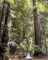 Redwoods River Resort