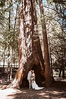 Redwoods River Resort