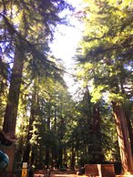 Redwoods River Resort