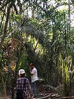Pantanal Ranch Meia Lua