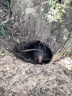 Pantanal Ranch Meia Lua