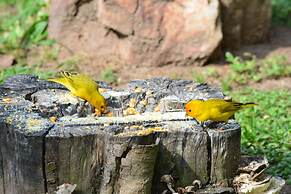 Pantanal Ranch Meia Lua