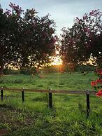 Pantanal Ranch Meia Lua